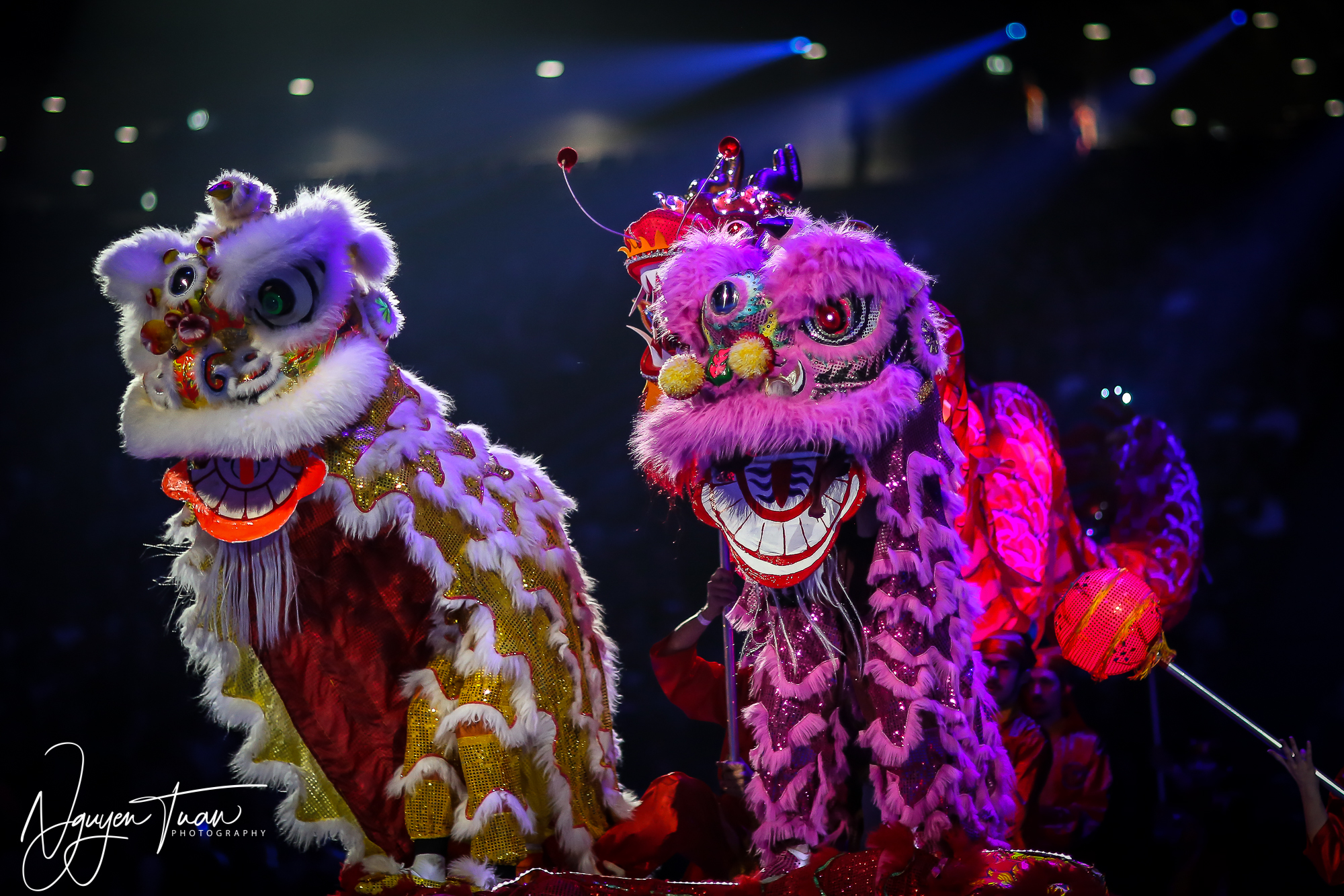 20190324 Festival des Arts Martiaux 2181